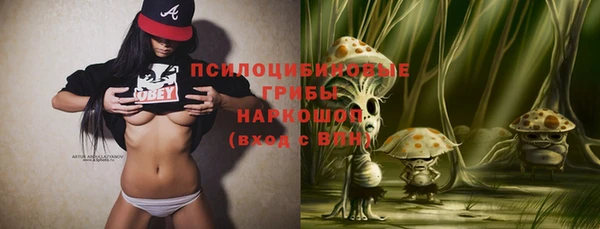 прущие грибы Пересвет
