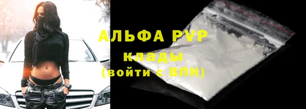сатива Переславль-Залесский