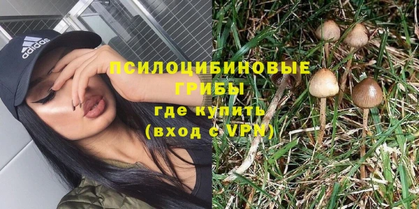 скорость Пестово