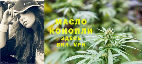 прущие грибы Пересвет