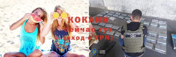 прущие грибы Пересвет