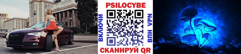 Псилоцибиновые грибы прущие грибы  купить наркотик  Тара 