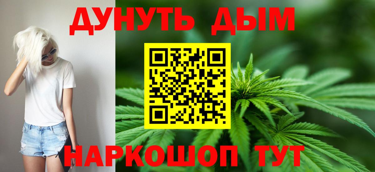 Бошки Шишки планчик  Марихуана конопля  МАРИХУАНА семена  Тара  Канабис план  Вход с VPN 